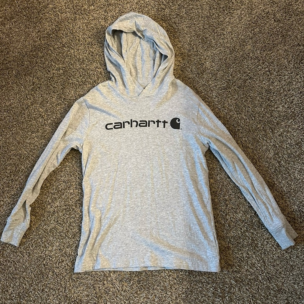 Carhartt Light Gray Hoodie